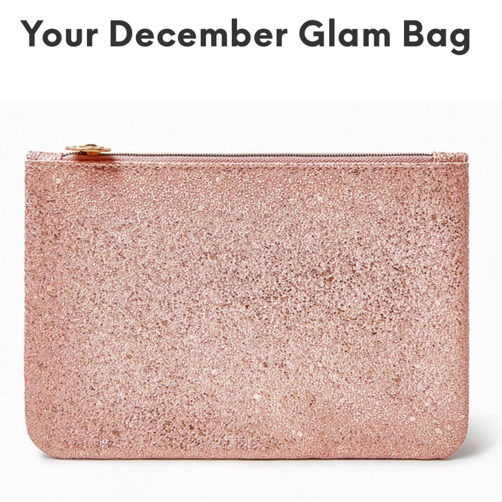 December Ipsy 2021 pink Sparkle zip up Makeup Bag